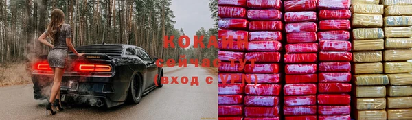 а пвп мука Алзамай