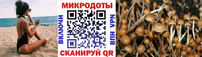 купить наркотик  Шуя  Галлюциногенные грибы GOLDEN TEACHER 